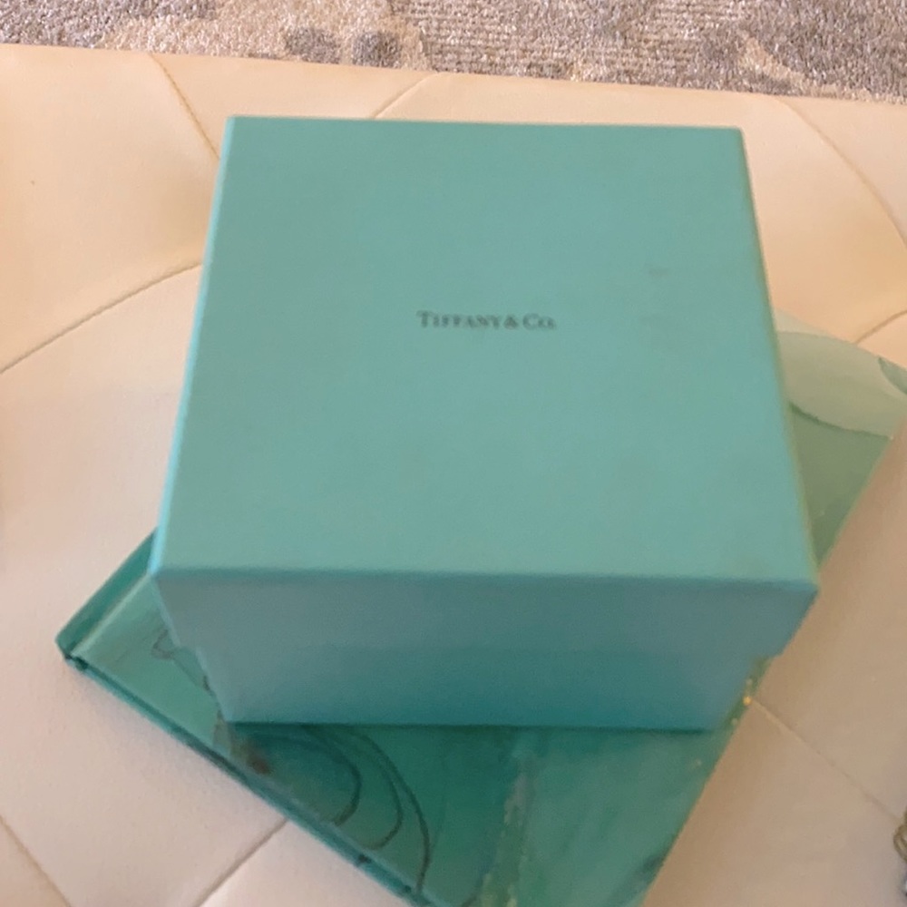 Tiffany Alligator Diamond Bezel 28mm Metro Watch